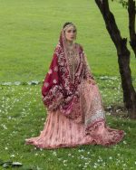 Hussain Reher Festive 26' - Unstitched - Gulrukh - Image 7