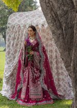 Hussain Reher Festive 26' - Unstitched - Sher Bano - Image 2